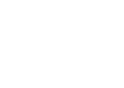 FVE_Solutions_logo_bílé.png